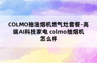 COLMO抽油烟机燃气灶套餐-高端AI科技家电 colmo抽烟机怎么样